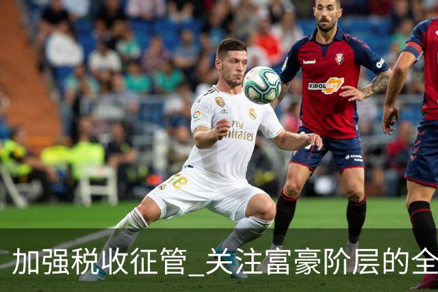 加强税收征管 关注富豪阶层的全球申报义务